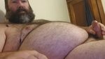 Gay chub bear porn 🌈 Chubby bears free XXX galleries - Auraj